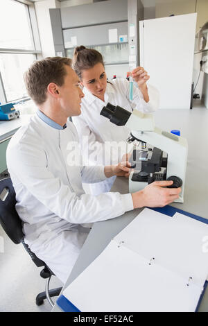 I giovani scienziati che lavorano insieme Foto Stock