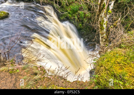 ABERLOUR masterizzare o in streaming in un gennaio ondata immergersi in una cascata con torba acqua colorata Foto Stock