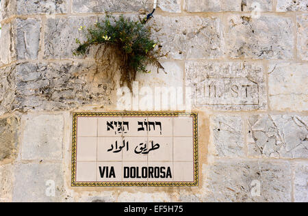 Cartello stradale Via Dolorosa nella città vecchia di Gerusalemme Foto Stock