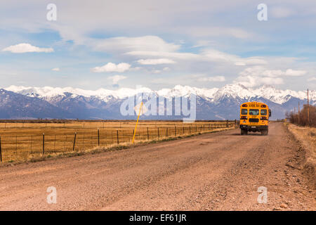 Giallo scuola bus, Valle di montagna, Colorado, Stati Uniti d'America, 4 aprile 2014. Foto Stock