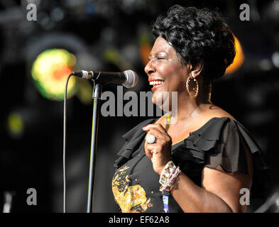 Il Festival Wickerman 2014 - Giorno 1 - spettacoli con: Il Vandellas dove: Dumfries, Regno Unito quando: 24 Lug 2014 Foto Stock