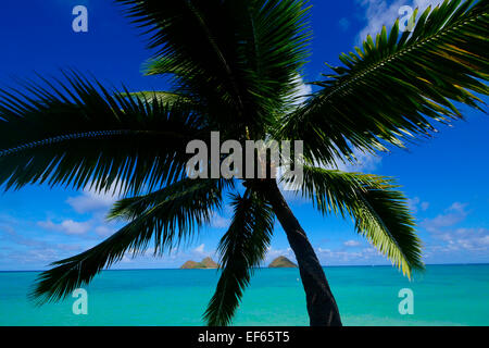 Isole Mokulua, Lanikai, Kailua, Oahu, Hawaii Foto Stock