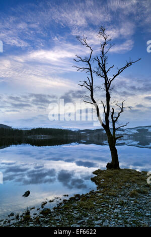 Tramonto sul Loch Ard in Lomond and Trossachs National Park, Scozia Foto Stock
