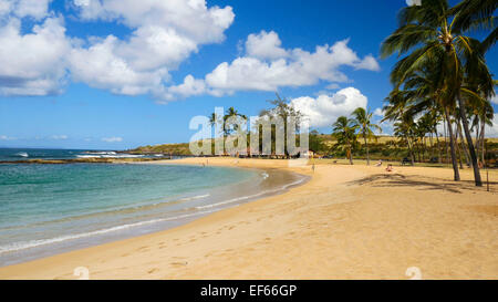 Stagno di sale di Spiaggia, Parco, Hanapepe, Kauai, Hawaii Foto Stock