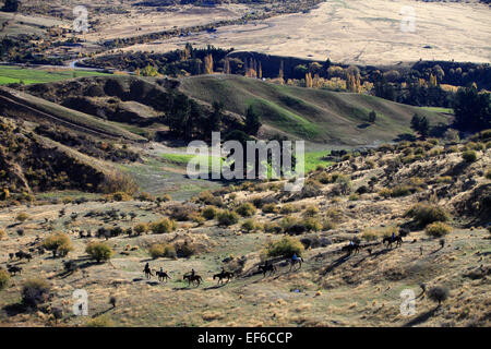 Trekking a cavallo a Cardrona, vicino a Wanaka, con montagne innevate sullo sfondo Foto Stock