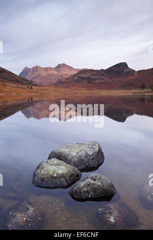 Luce morbida bagna Langdales come si riflette nel vicino perfetto "mal pond' simili condizioni su Blea Tarn. Foto Stock