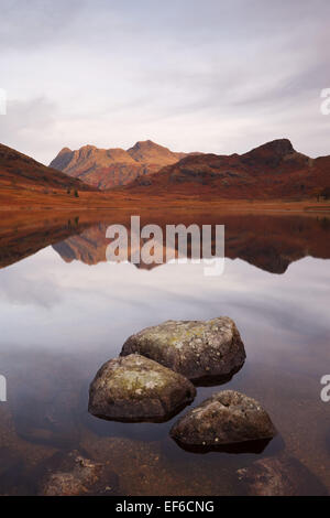 Luce morbida bagna Langdales come si riflette nel vicino perfetto "mal pond' simili condizioni su Blea Tarn. Foto Stock