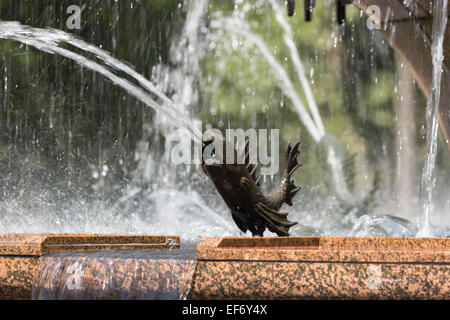 Un vicino la fotografia di un pesce in bronzo che è parte dell'Archibald Fontana in Hyde Park, Sydney, Australia. Foto Stock