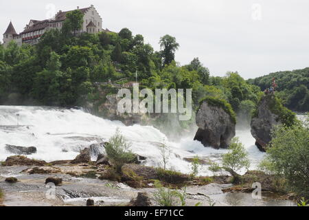 Laufen Castello affacciato sul Reno cade Foto Stock