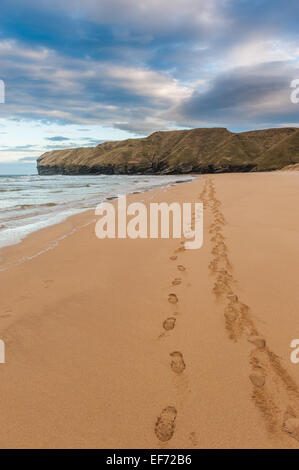 Impronte sulla spiaggia di Strathy Bay di Caithness in Scozia Foto Stock