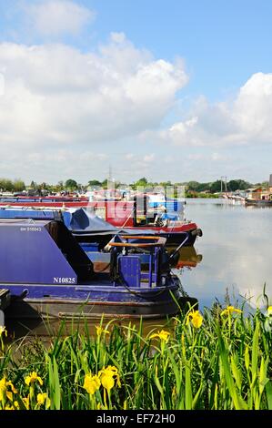 Narrowboats sulla loro ormeggi nel bacino del canale, Barton Marina, Barton-sotto-Needwood, Staffordshire, Inghilterra, Regno Unito, Europa. Foto Stock