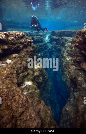 Subacqueo a Little Devil in Santa Fe River, Florida, Stati Uniti Foto Stock