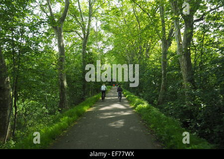 Attività ricreative per i ciclisti e per chi ama fare jogging su un percorso attraverso una foresta., Foto Stock