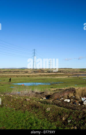 Cavalli al pascolo su terreni Pengam Mori, Cardiff, Galles, UK. Foto Stock