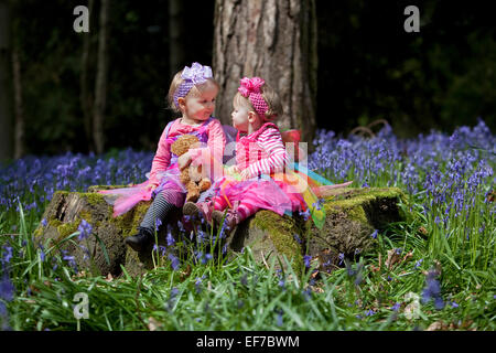 Due bambini seduti su un ceppo di albero in un bosco pieno di inglese bluebells. Foto Stock