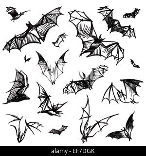 Mano del vettore nella foto il carbone grunge lo sfondo con il mazzetto di battenti pipistrelli nero,isolato sul bianco Illustrazione Vettoriale