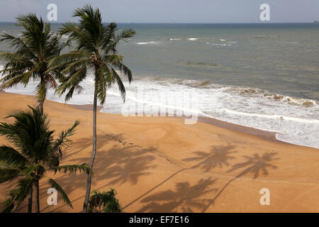 Spiaggia tropicale e palme - Colombo, Sri Lanka Foto Stock