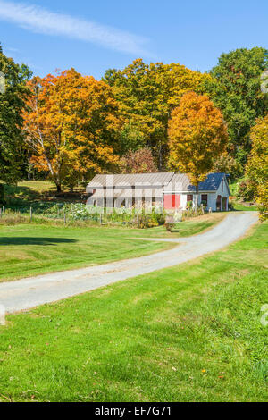 Autumn scenic of a country home with dirt driveway in Vermont, United States of America.  Autumn season. Foto Stock