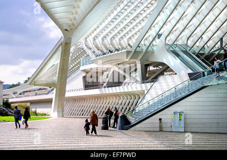 Liegi, Belgio. Stazione ferroviaria principale - Gare des Guillemins (2009 - Santiago Calatrava Valls) Foto Stock