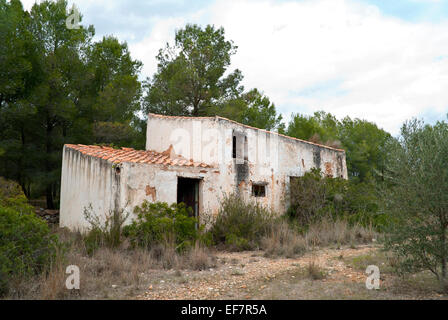 Vecchia casa nel bosco Foto Stock