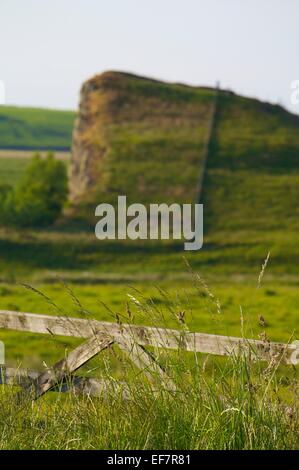 Cawfields sul vallo di Adriano National Trail. Northumberland, Inghilterra, Regno Unito. Foto Stock