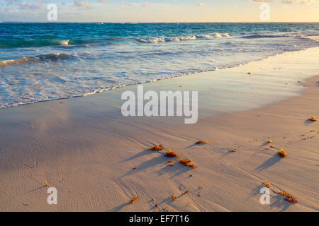 Colorato paesaggio sunrise, Oceano Atlantico costa. Repubblica dominicana, Punta Cana Foto Stock