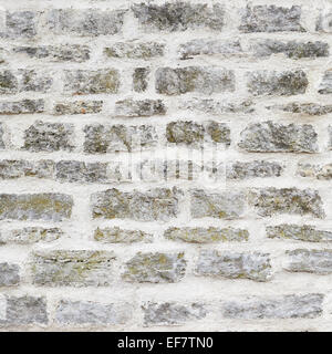 Il castello vecchio muro di mattoni Foto Stock