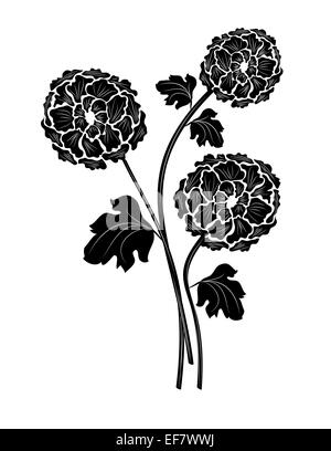 Bella in bianco e nero illustrazione di tre bellissimi fiori con steli e foglie per scopi decorativi e motivi romantici Foto Stock