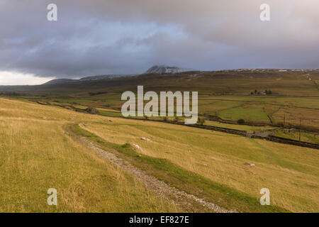 Ingleborough collina vicino Ingleton, Yorkshire Dales, North Yorkshire, Regno Unito Foto Stock