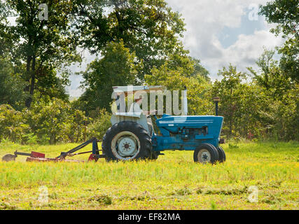 Falciare erbacce nel pascolo con un trattore e un porco di bush su una soleggiata giornata estiva Foto Stock