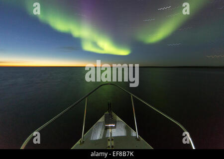 Canada, Nunavut, territorio, Aurora boreale brilla nel cielo notturno sopra C-Dory expedition boat in uova e lattimi suono Benvenuto nel nord Hu Foto Stock