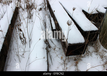 Nascosto sotto la neve e traversine abbandonate le tracce di un treno, un giardino segreto resiste come ogni inverno freddo in Canada Foto Stock
