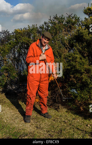 La masterizzazione di ginestre in un modo controllato in New Forest Hampshire Foto Stock