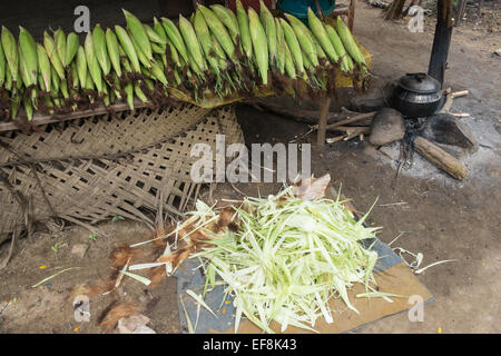 Dolci freschi di pannocchie di granoturco cotta e venduto in strada in campagna nei pressi di Tissa,Tissamaharama,Sri Lanka. Foto Stock