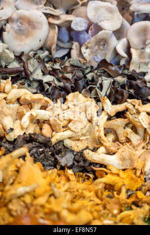 I funghi selvatici (Giroles, Pied Bleu, Giuda orecchio, Nero Tromba) su una bancarella al mercato di Borough, Southwark, Londra Foto Stock