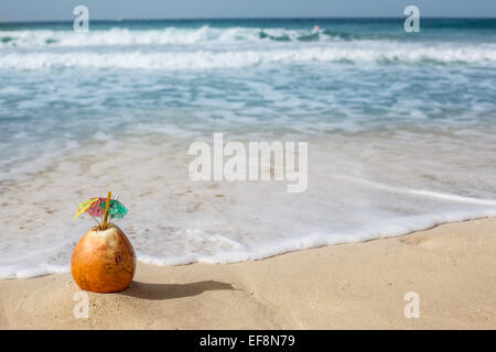 Acqua di cocco dado sulla spiaggia. Foto Stock