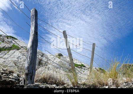 Recinzione sulla scogliera rocciosa, White Rock, Wairarapa, Isola del nord, Nuova Zelanda Foto Stock