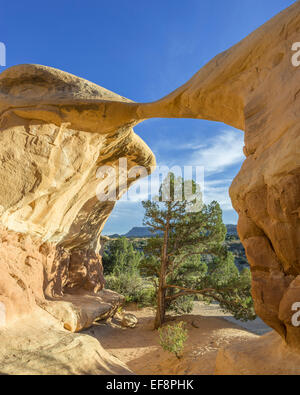 Le formazioni rocciose nel Giardino del Diavolo, Escalante, Utah, Stati Uniti Foto Stock