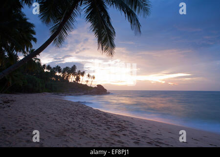 Alba alla spiaggia di TANGALLA Foto Stock