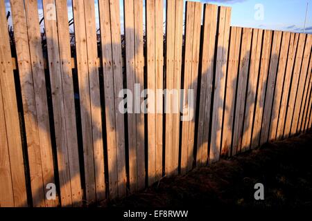 Ombre di cinque persone su una recinzione di legno Foto Stock