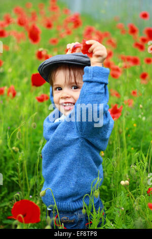 Little Boy (2-3) in piedi nel campo di papaveri Foto Stock