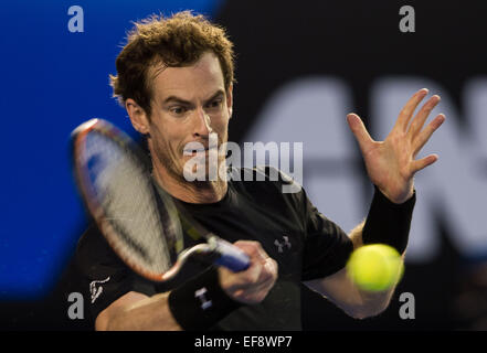 Melbourne, Australia. 29 gen, 2015. Andy Murray di Gran Bretagna restituisce la palla durante i suoi uomini singoli semifinale partita contro Tomas BERDYCH della Repubblica ceca presso l'Australian Open di softball di Melbourne, Australia, 29 gennaio, 2015. Credito: Bai Xue/Xinhua/Alamy Live News Foto Stock