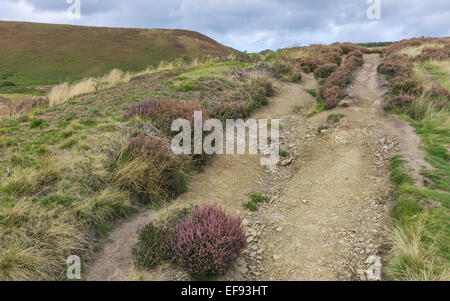 Sentiero attraverso il North York Moors nel foro di Horcum (un avvallamento naturale) vicino a Goathland, nello Yorkshire, Regno Unito. Foto Stock