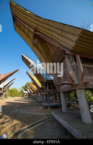 Fila di case tradizionali e di riso fienili affacciati nel villaggio di Nangalla, a est di Rantepao. Ampio angolo di visione. Foto Stock