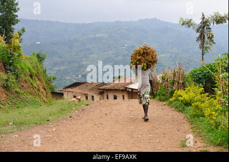 Alba sul lago Kivu nei pressi di Kibuye, Ruanda, Africa centrale. in background, Repubblica Democratica del Congo Foto Stock