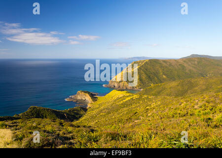 Gli spiriti Bay a Cape Reinga (Nuova Zelanda - Estremo Nord), dove Mare di Tasman (sinistra) incontra l'Oceano Pacifico (a destra). La Santa Sede. Foto Stock