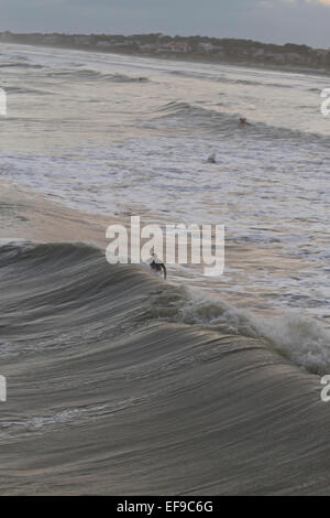 Visto dal di sopra, un surfista cavalca un potente oceano onda dall uragano Sandy vicino al tramonto Foto Stock