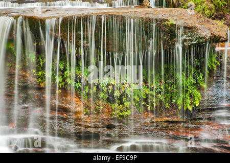 Acqua fluente a Weeping Rock nel Blue Mountains National Park. Foto Stock