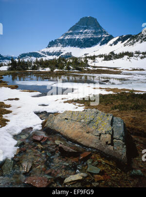 Snowmelt in primavera lungo il nascosto lago trail al di sotto di Mt. La Reynolds,il Glacier National Park, Montana, USA Foto Stock