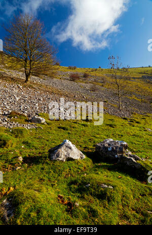 Rocce calcaree a Biggin Dale vicino a Hartington in bianco area di picco Peak District National Park Derbyshire Dales England Regno Unito Foto Stock